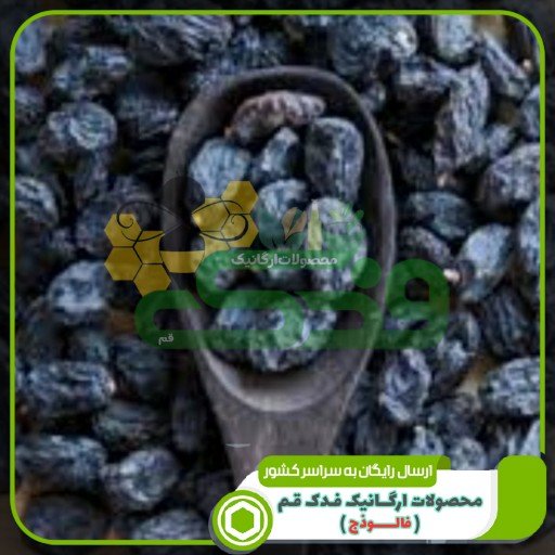 مویز سیاه شاهانی - مویز دشمن زیاری ممتاز فدک (400گرم)