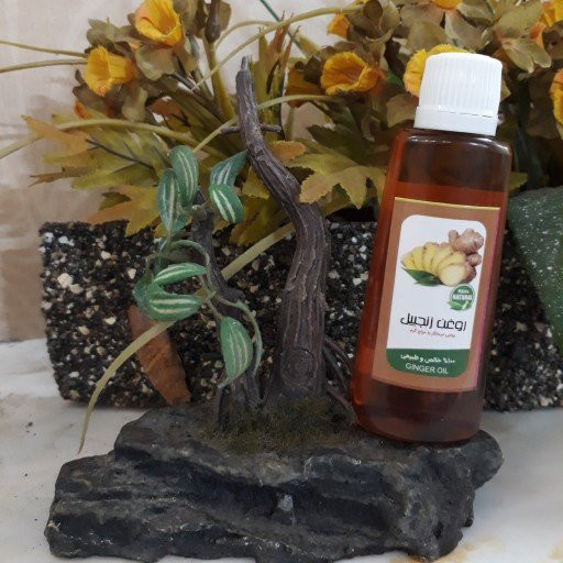 روغن زنجبیل فدک 45سی سی (التیام زخم، ضد آکنه)