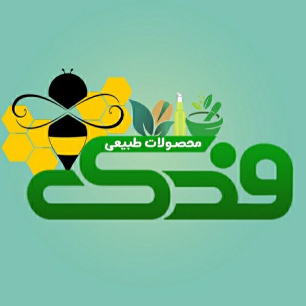 روغن برگ گزنه فدک(45 سی سی) (تقویت مو و پیاز مو، پرپشت کننده مو)