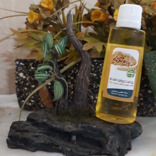روغن جوانه گندم 45 سی سی فدک (کلاژن ساز و آبرسان)