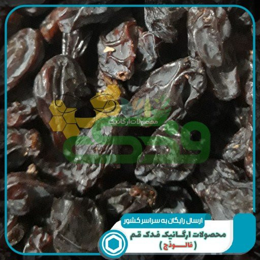 مویز فخری رطبی هسته دار فدک سبز (350 گرم)