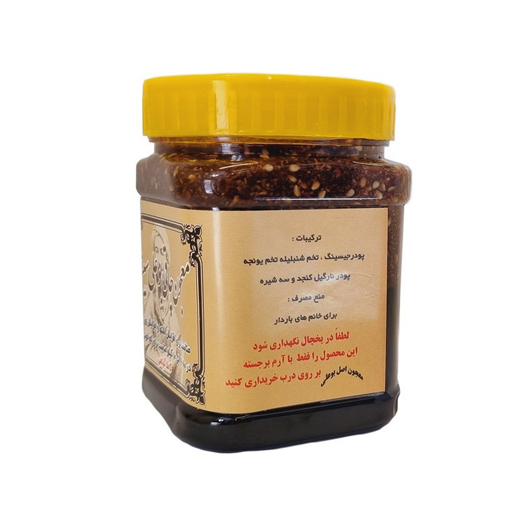 معجون افزایش وزن ابن سینا فدک (500 گرم)