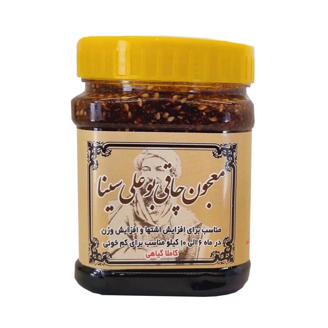 معجون افزایش وزن ابن سینا فدک (500 گرم)