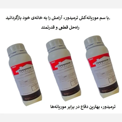نابودی موریانه ها با بهترین سم ترمیدور