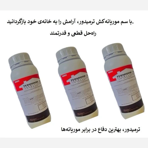 نابودی موریانه ها با بهترین سم ترمیدور