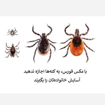 نابودی کامل کنه ها با سم مکس فورس