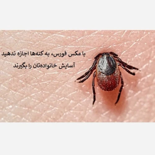 نابودی کامل کنه ها با سم مکس فورس