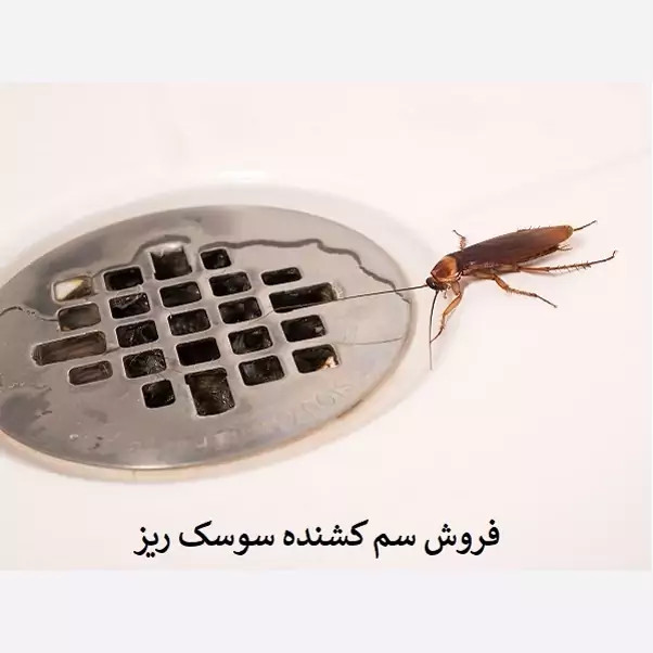 سم یک لیتری سوسک کش ریز و درشت ریپلزال بدون بو ، ارسال رایگان مدل 1