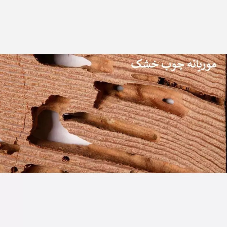 سم موریانه کش ترمیدور نسخه اصلی با ضمانت غرفه برتر ( ارسال رایگان ) مدل 1