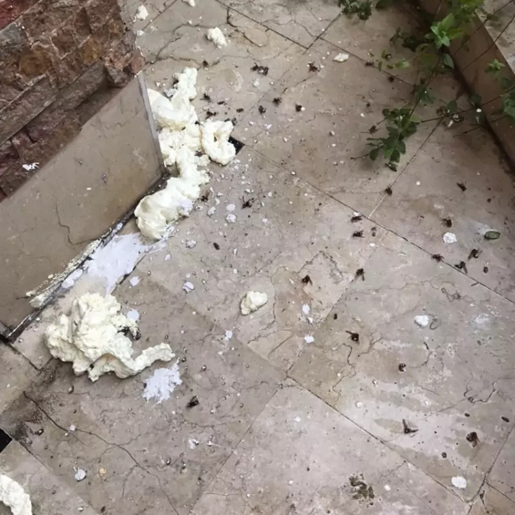 سم مورچه کش انت کیلر بدون بو ارسال رایگان مدل 1