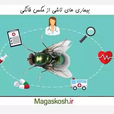 سم مگس کش دیویس ارسال رایگان مدل 1