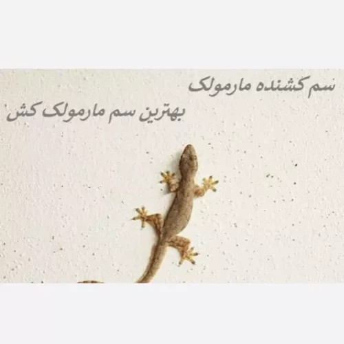 سم مارمولک کش ساویر بدون بو ارسال رایگان مدل 1