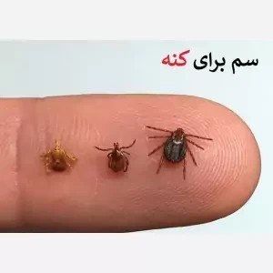 سم کنه کش مکس فورس ارسال رایگان کپی