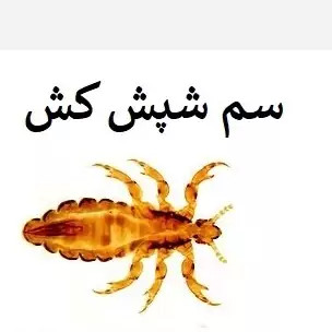 سم شپش کش پرمکترین ارسال رایگان مدل 1