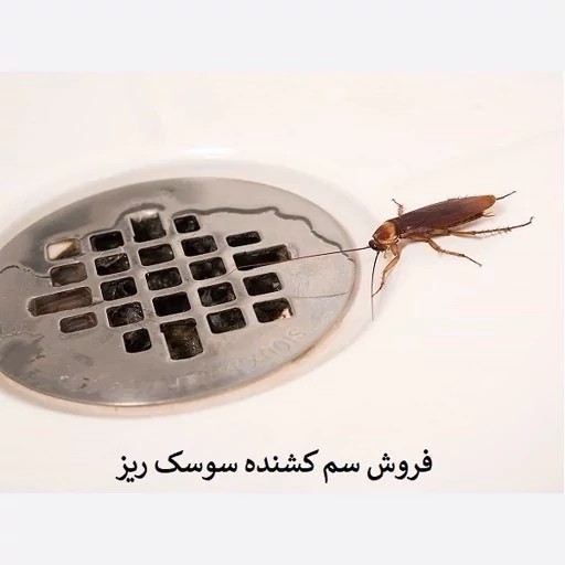 سم سوسک کش رونج کشنده ترین سم بدون بو ارسال رایگان مدل 2