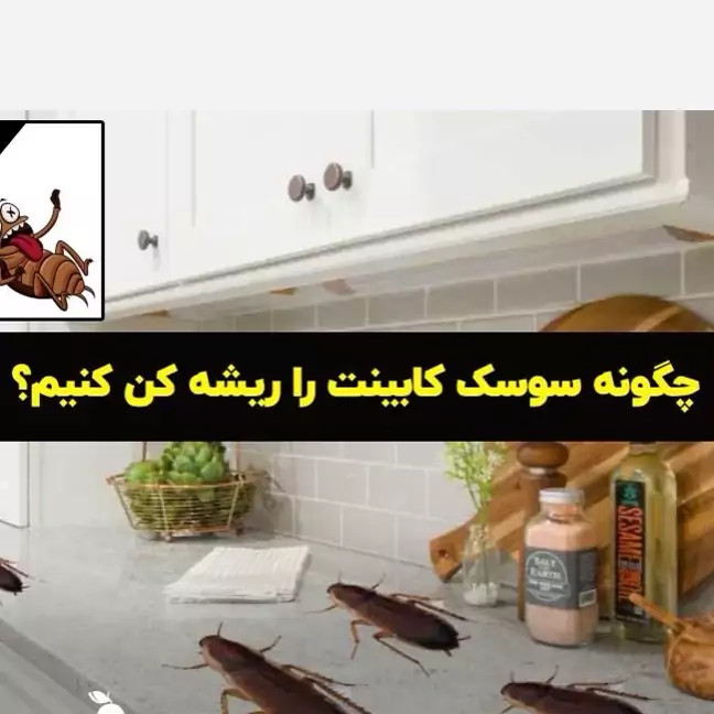 سم سوسک کش رونج کشنده ترین سم بدون بو ارسال رایگان مدل 1