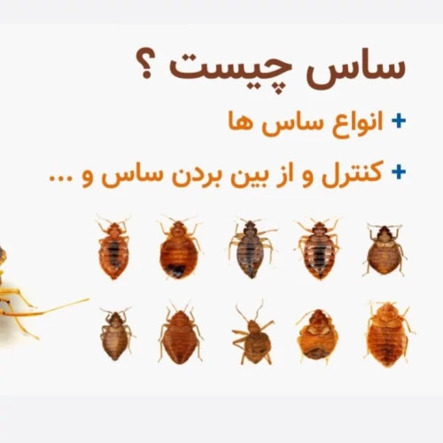 سم ساس کش کراس فایر راه حل نوین از بین بردن ساس ها ارسال رایگان مدل 1