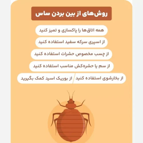 سم ساس بد باگ اوت کشنده ترین ساس کش ارسال رایگان مدل 1