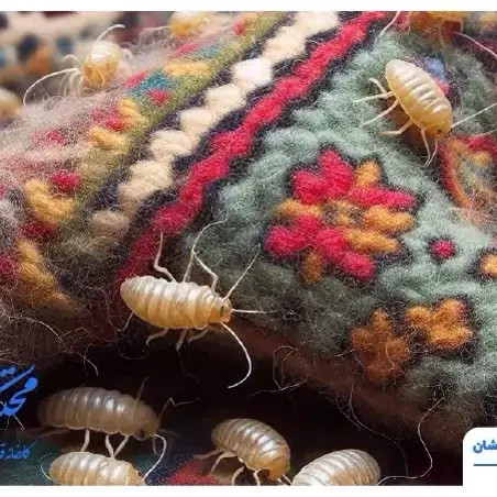 سم بید کش پست اکسپرت بدون بو ارسال رایگان مدل 1