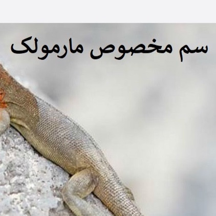 سم مارمولک کش لیزارد کشنده ترین سم ارسال رایگان