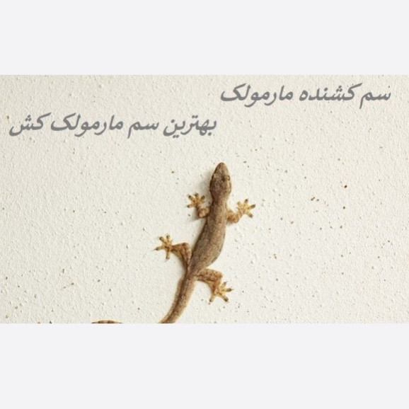 سم مارمولک کش لیزارد کشنده ترین سم ارسال رایگان