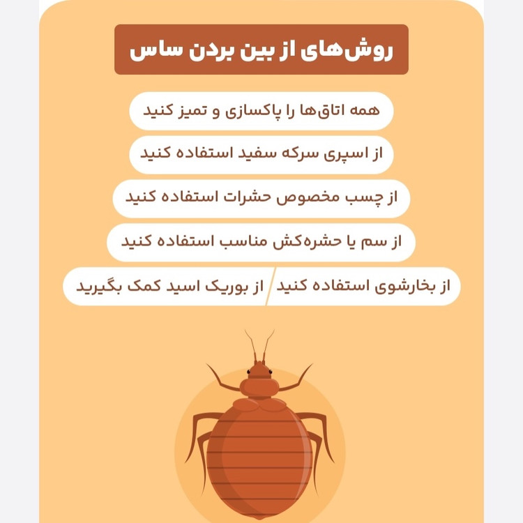 سم ساس بد باگ اوت کشنده ترین ساس کش ارسال رایگان