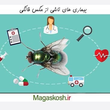 سم مگس کش دیویس ارسال رایگان