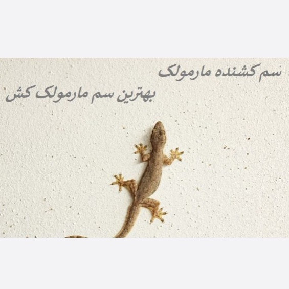 سم مارمولک کش ساویر بدون بو ارسال رایگان