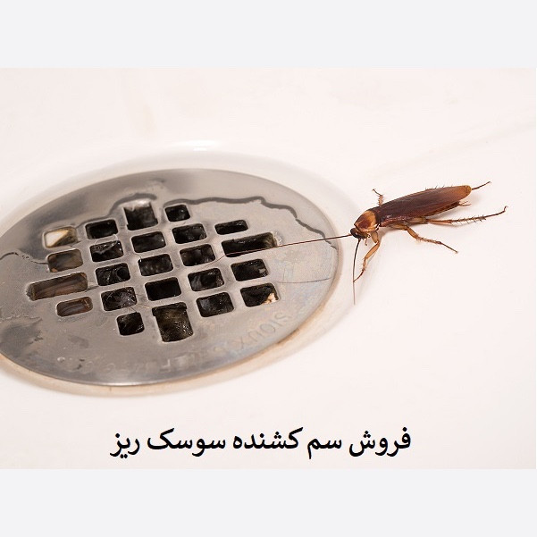 سم یک لیتری سوسک کش ریز و درشت ریپلزال بدون بو ، ارسال رایگان