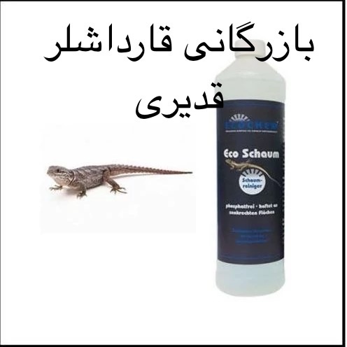 سم بی رحم برای مارمولک ، سم اکوشاوم اورجینال ارسال رایگان