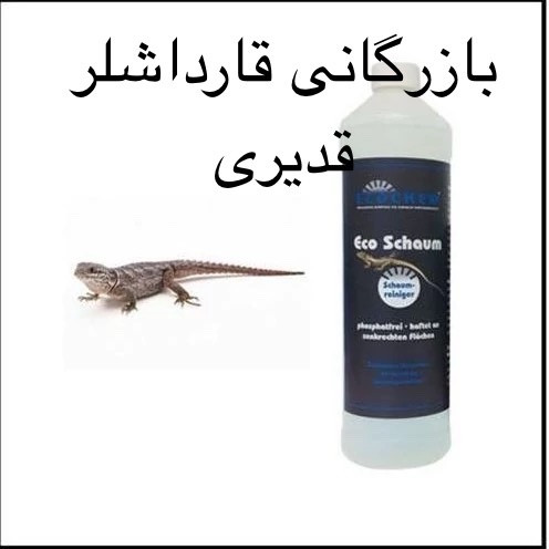 سم بی رحم برای مارمولک ، سم اکوشاوم اورجینال ارسال رایگان