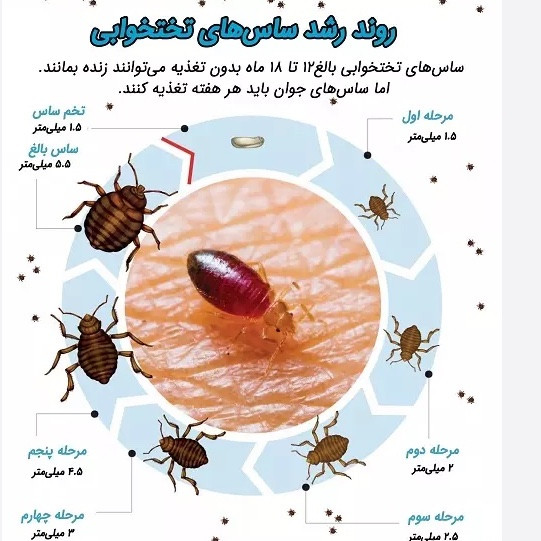 سم 10 لیتری پیرانا Pyranha نسخه اصلی اورجینال عمده ارسال رایگان