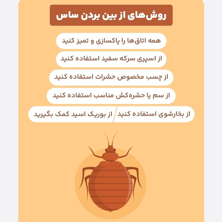سم 4 لیتری نسخه اصلی پیرانا Pyranha اورجینال ارسال رایگان