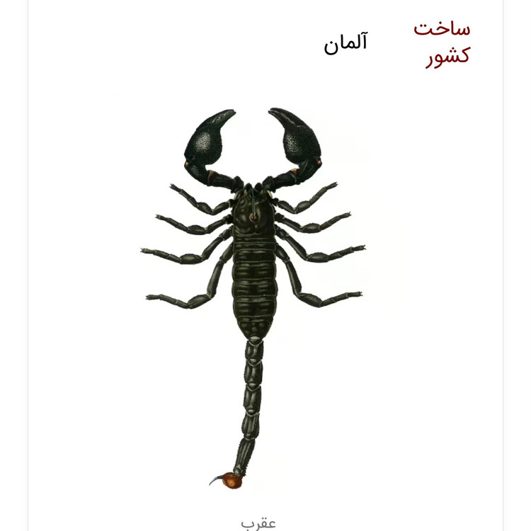 سم عقرب کش پیگانیک مبارز بی رحم عقرب ها ارسال رایگان