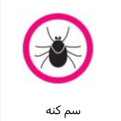 سم کنه کش مکس فورس اورجینال ارسال رایگان