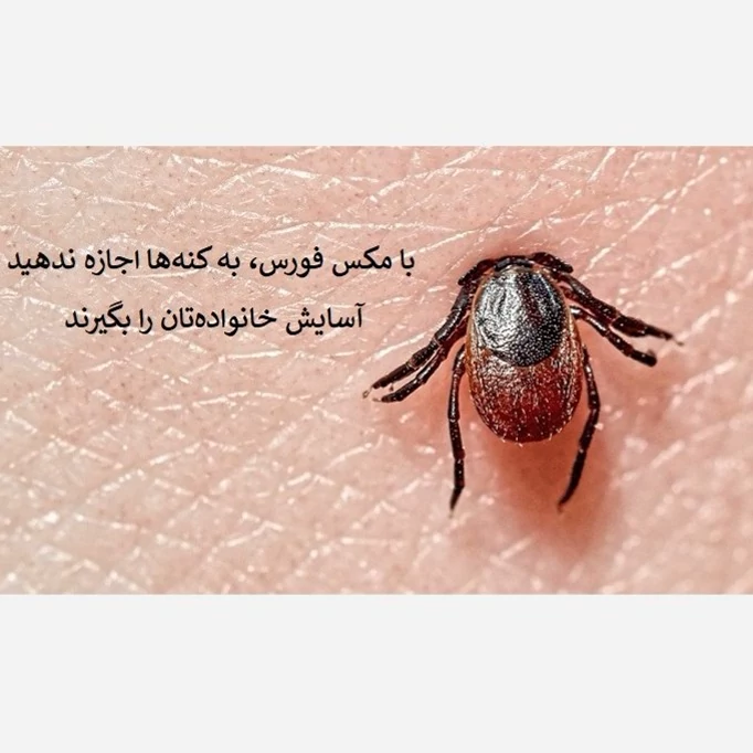 نابودی کامل کنه‌ها با سم مکس فورس