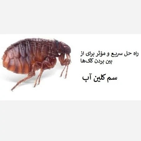 راه حل قطعی برای نابودی کک سم کلین آپ