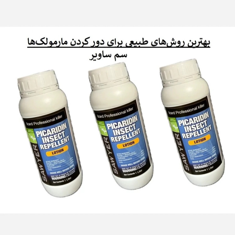 راهحل سریع برای مارمولکها از خانه ساویر