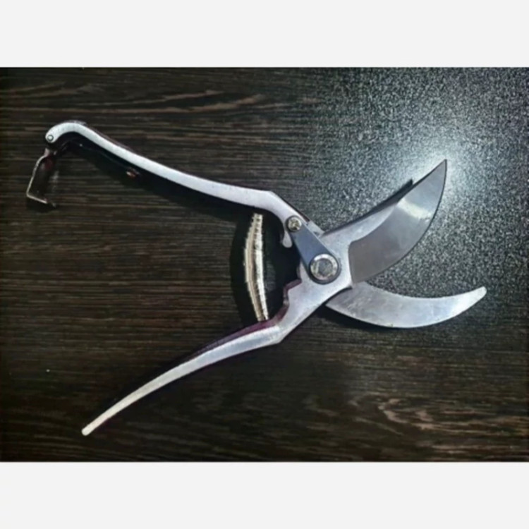 قیچی خوب باغبانی