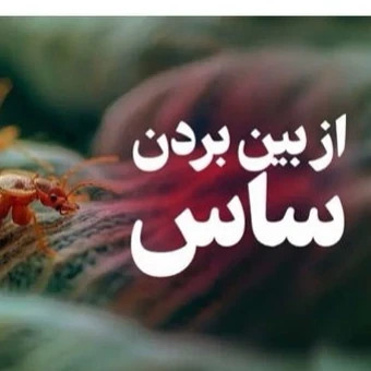 سم ساس کش پیرانا Pyranha نسخه اصلی ارسال رایگان