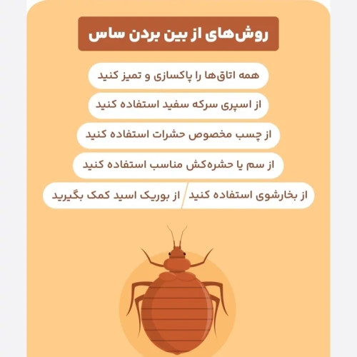 سم ساس بد باگ اوت کشنده ترین ساس کش ارسال رایگان