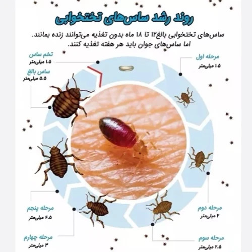 سم ساس پیرانا تحت لیسانس ویران کننده در جهان ارسال رایگان