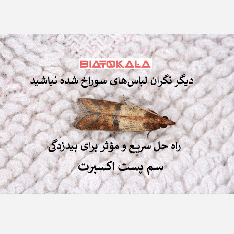 نابودی بید با سم پست اکسپرت