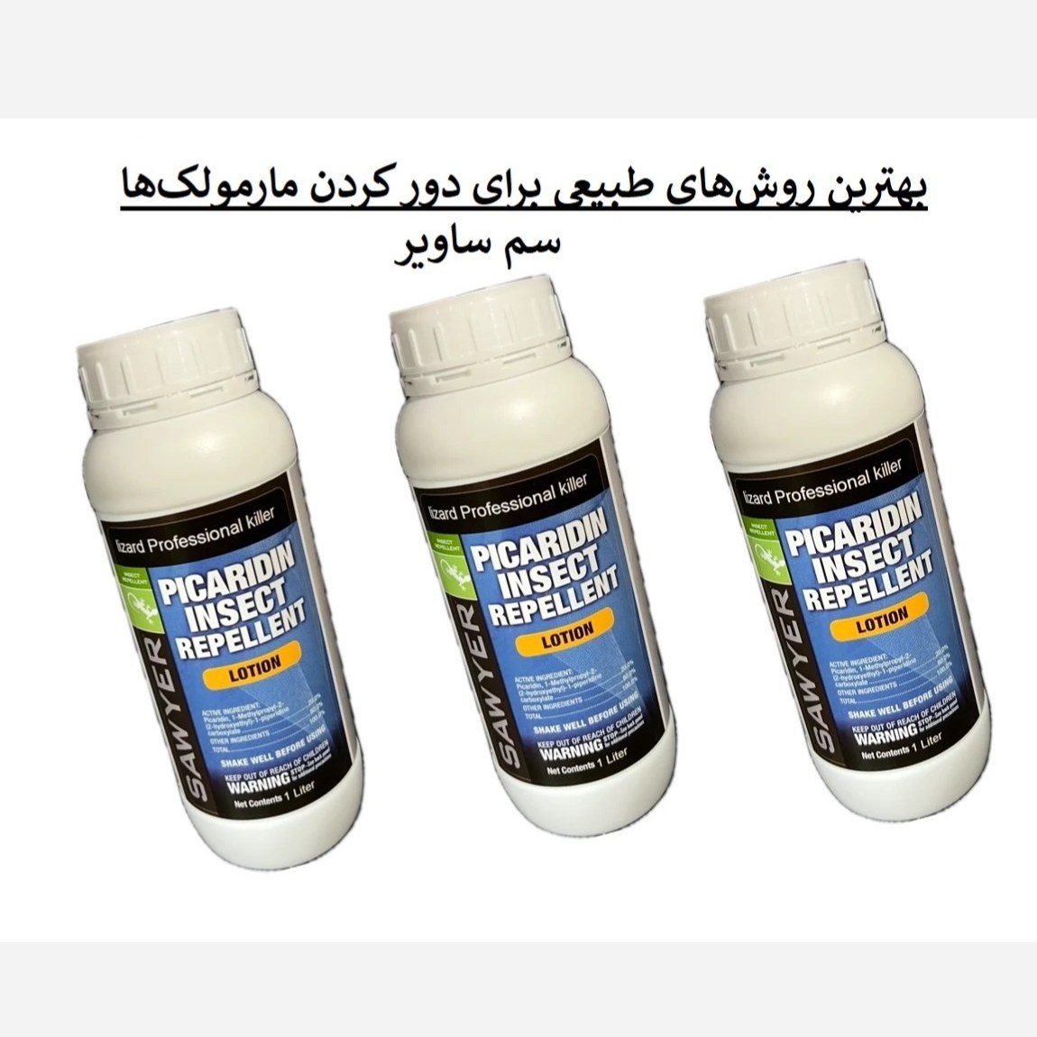 راه‌حل سریع برای مارمولک‌ها از خانه ساویر