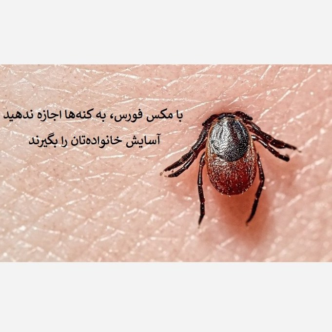 نابودی کامل کنهها با سم مکس فورس