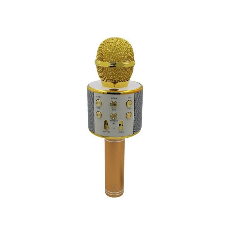 میکروفن اسپیکر شارژی بلوتوث - تغییر صدا - چراغ LED - رم خور - رادیو - فلش خور