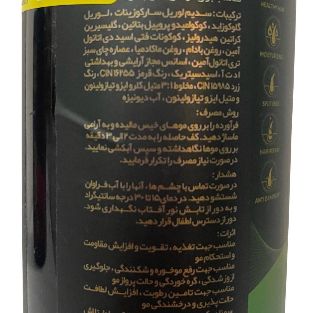 شامپو تقویت کننده مو گینزا مدل 66 حجم 500 میلی لیتر