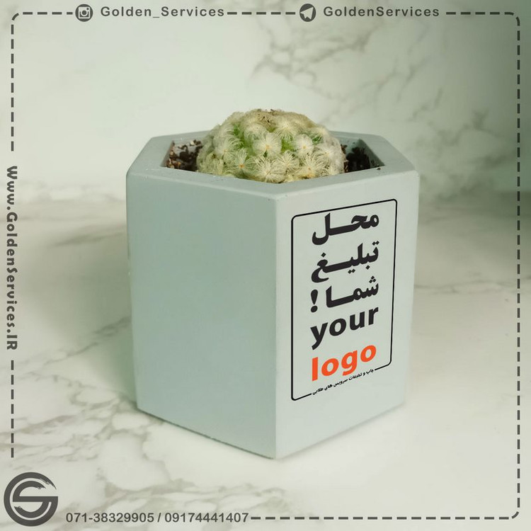 گلدان بتنی شش ضلعی کوچک (20 عدد)