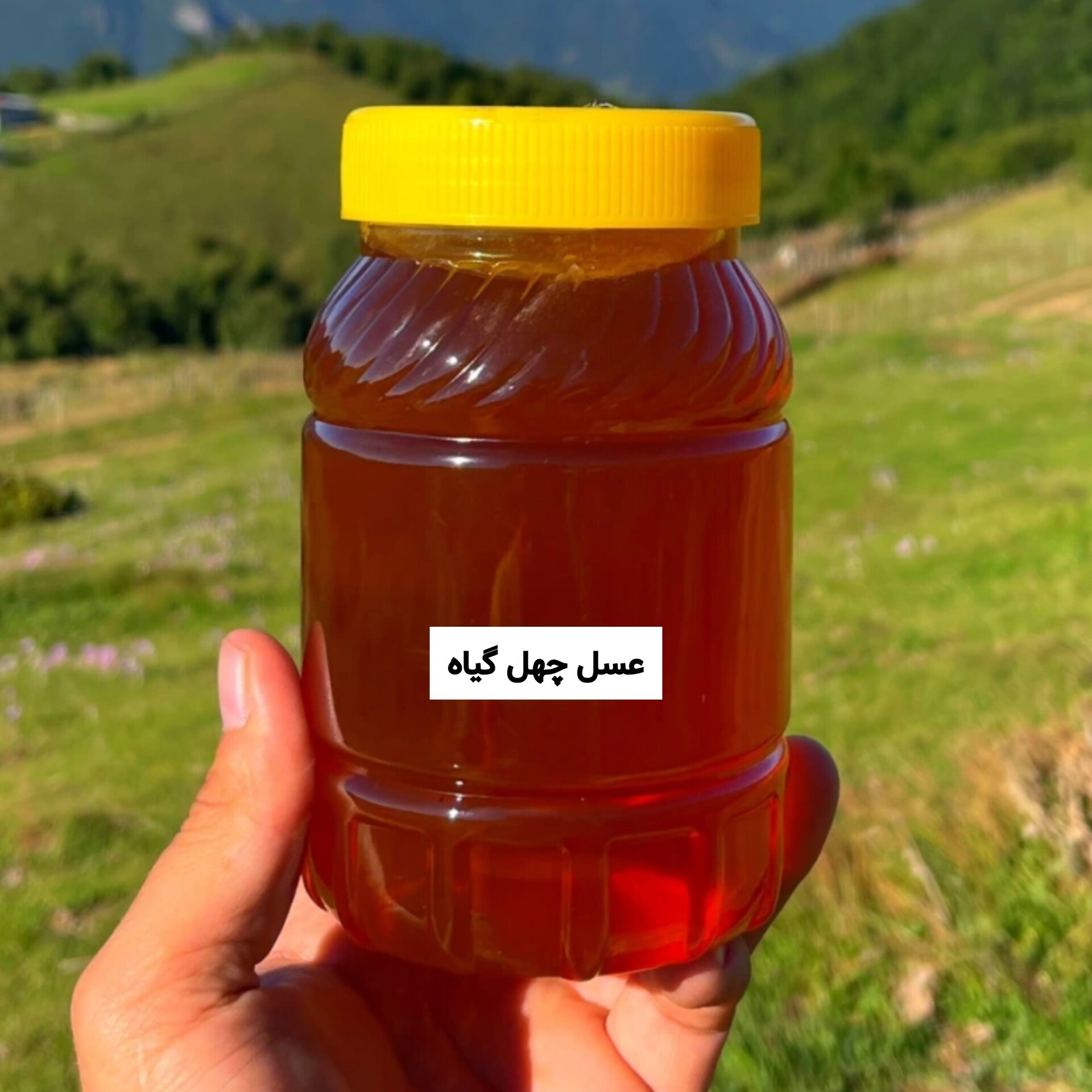 عسل طبیعی چهل گیاه طبیعی یک کیلویی (خرید از زنبوردار) برداشت جدید