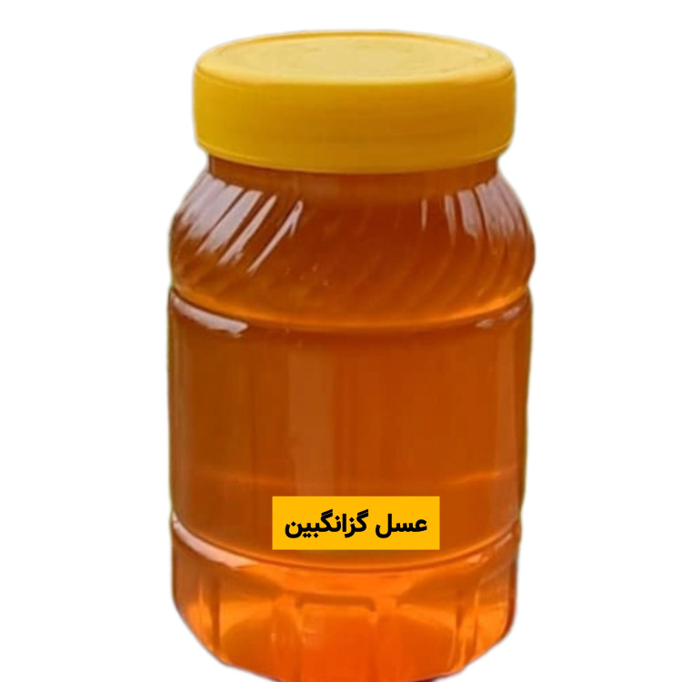عسل طبیعی گزانگبین ساکارز زیر یک درصد یک کیلویی ( مستقیم از زنبوردار) ارسال رایگان